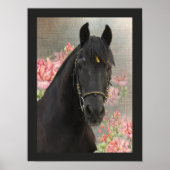 Friesian DIAMOND ~ Portrait 3 - Poster (Vorne)