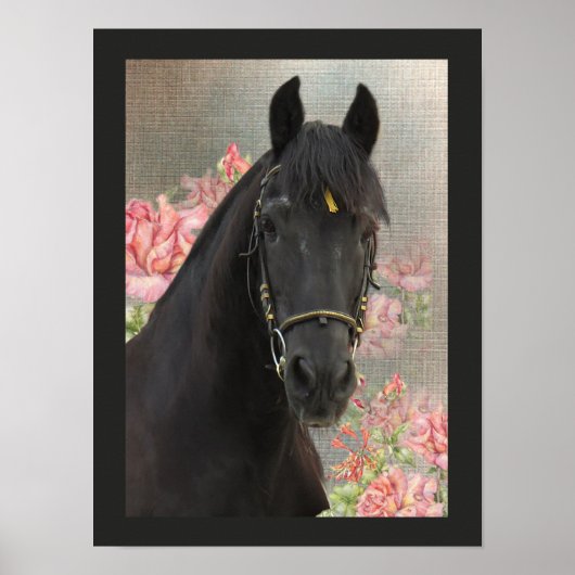 Friesian DIAMOND ~ Portrait 3 - Poster (Vorne)