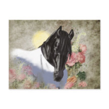 Friesian DIAMOND - Postcard