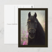 Friesian DIAMOND - Postcard Postkarte (Vorne/Hinten)