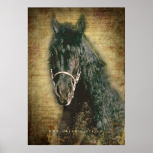 Friesian DIAMOND - Poster