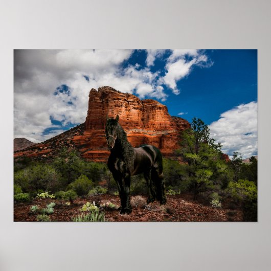 Friesian DIAMOND VI - Poster (Vorne)