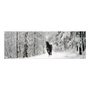 Friesian DIAMOND VII - Foto Print