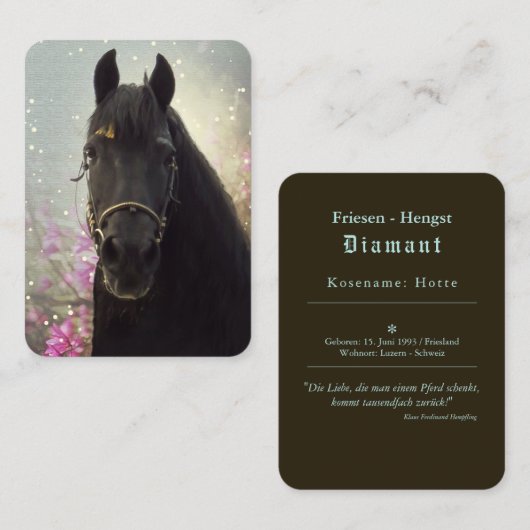 Friesian DIAMOND - Visitenkarte (Vorne/Hinten)