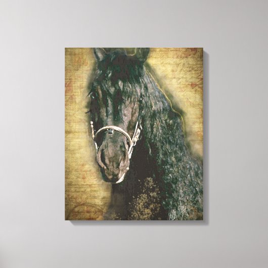 Friesian DIAMOND - Wrapped Canvas Leinwanddruck (Vorderseite)