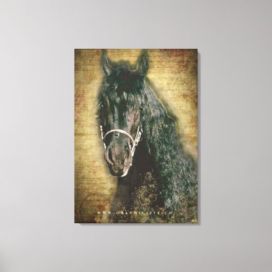Friesian DIAMOND - Wrapped Canvas Leinwanddruck (Vorderseite)