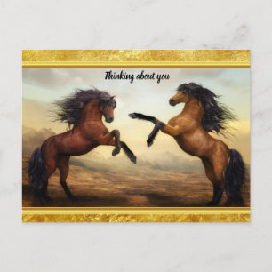 Friesian Draft Horses in the rocky mountain tal Postkarte