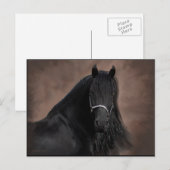 Friesian Flair Postkarte (Vorne/Hinten)
