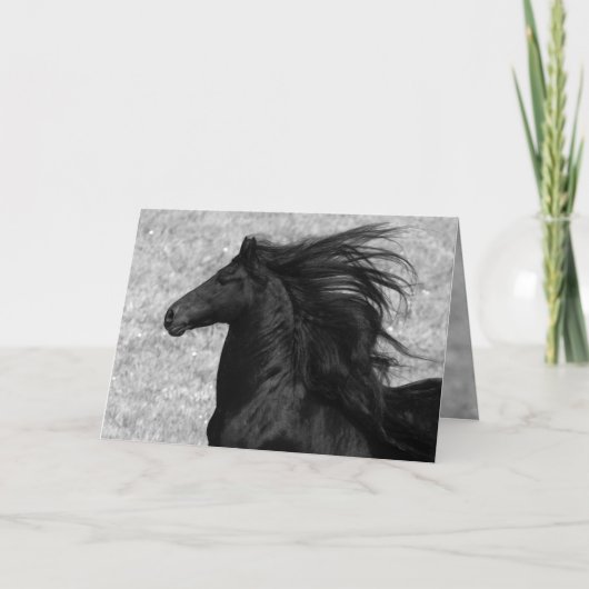 Friesian Flying Horse Greeting Card Karte (Vorderseite)