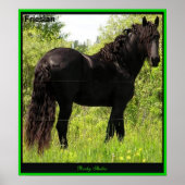 Friesian Foto Print Poster (Vorne)