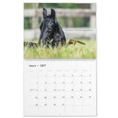 Friesian Horse Calendar Psalm 23 Kalender (Mär 2027)