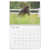 Friesian Horse Calendar with Bible Verses Kalender (Mär 2026)