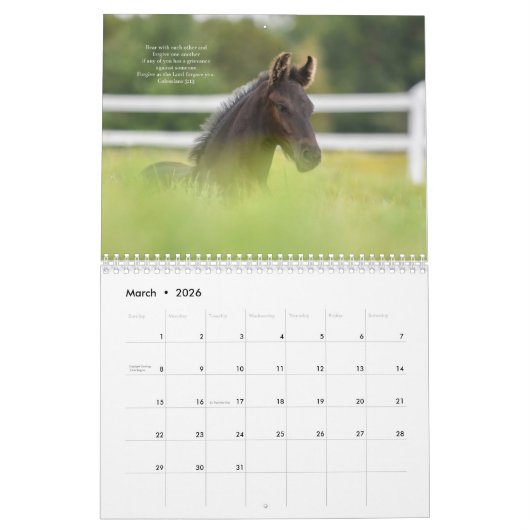 Friesian Horse Calendar with Bible Verses Kalender (Mär 2026)