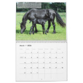 Friesian Horse Inspiration Calendar Kalender (Mär 2026)