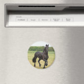 Friesian Horse Magnet (In Situ (Geschirrspüler))