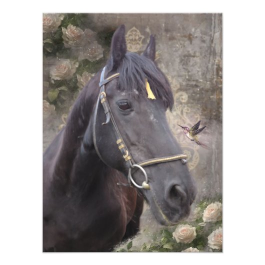 Friesian Horse Portrait - Poster (Vorne)