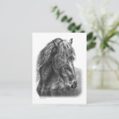 Friesian Horse Portrait Wavy Mane Postkarte (Stehend Vorderseite)