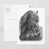 Friesian Horse Portrait Wavy Mane Postkarte (Vorne/Hinten)