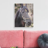 Friesian Horse Portrait - Wrapped Canvas Leinwanddruck (Insitu (Wohnzimmer))