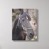 Friesian Horse Portrait - Wrapped Canvas Leinwanddruck (Vorderseite)