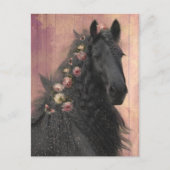Friesian Horse - Postcard Postkarte (Vorderseite)
