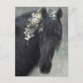 Friesian Horse - Postcard Postkarte (Vorderseite)