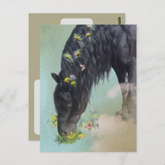 Friesian Horse - Postcard Postkarte (Vorne/Hinten)