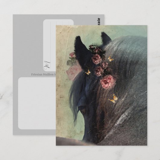 Friesian Horse - Postcard Postkarte (Vorne/Hinten)
