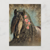 Friesian Horse - Postcard Postkarte (Vorderseite)