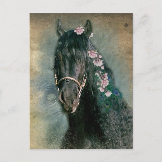 Friesian Horse - Postcard Postkarte (Vorderseite)