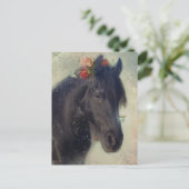 Friesian Horse - Postcard Postkarte (Stehend Vorderseite)