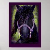 Friesian Horse Poster (Vorne)