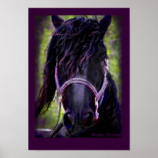 Friesian Horse Poster (Vorne)