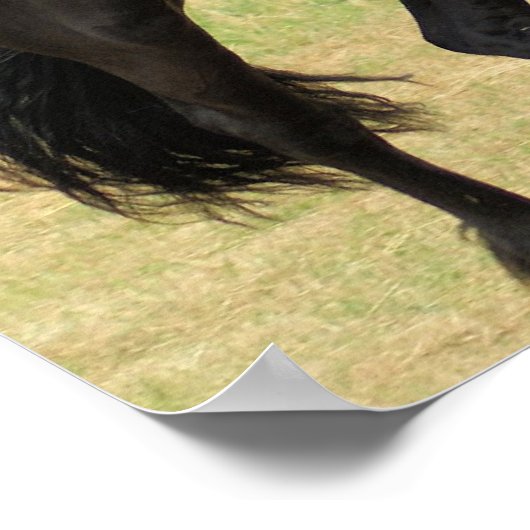 Friesian Horse Poster (Ecke)