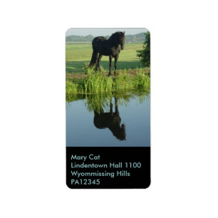 Friesian Horse Reflection in water Adressaufkleber