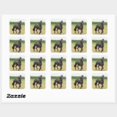 Friesian Horse Stickers (Blatt)