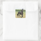 Friesian Horse Stickers (Tasche)