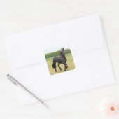 Friesian Horse Stickers (Umschlag)