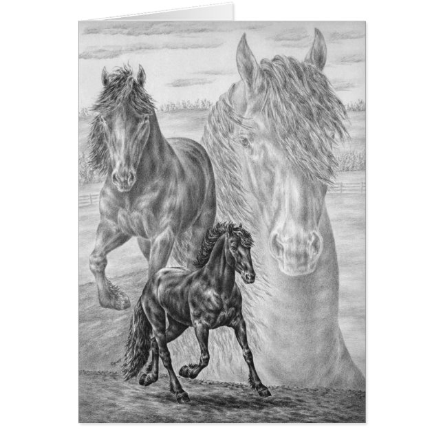Friesian Horse Zeichnend von Kelli Swan (Vorne)