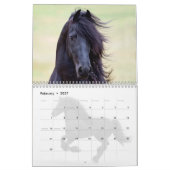 Friesian Horses Calendar Kalender (Feb 2027)