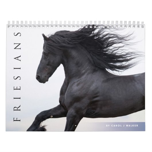 Friesian Horses Calendar Kalender (Titelbild)