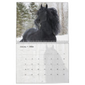 Friesian Horses Calendar Kalender (Jan 2026)