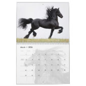 Friesian Horses Calendar Kalender (Mär 2026)