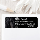 Friesian Image (Insitu)