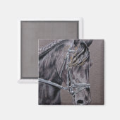 Friesian Magnet (Vorderseite/Rückseite)
