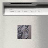 Friesian Magnet (In Situ (Geschirrspüler))