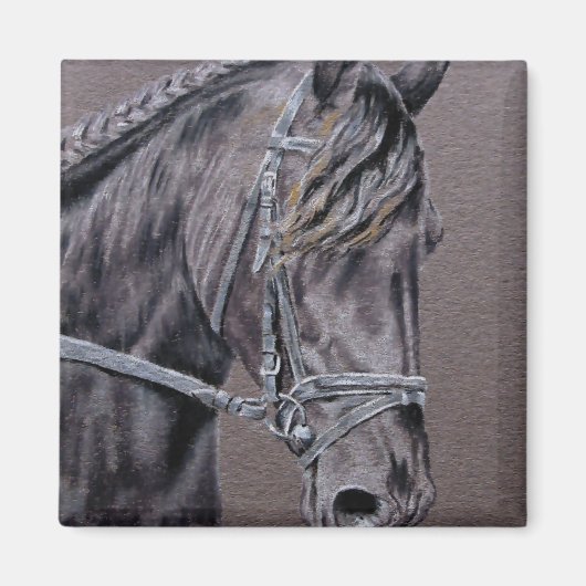 Friesian Magnet (Vorne)