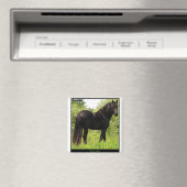 Friesian Magnet (In Situ (Geschirrspüler))