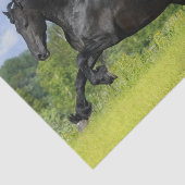 Friesian Pferd Seidenpapier (Ausschnitt)