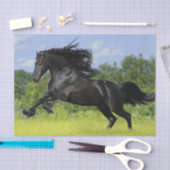 Friesian Pferd Seidenpapier (Handwerk)